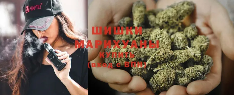 Бошки марихуана SATIVA & INDICA  купить   Ивдель 